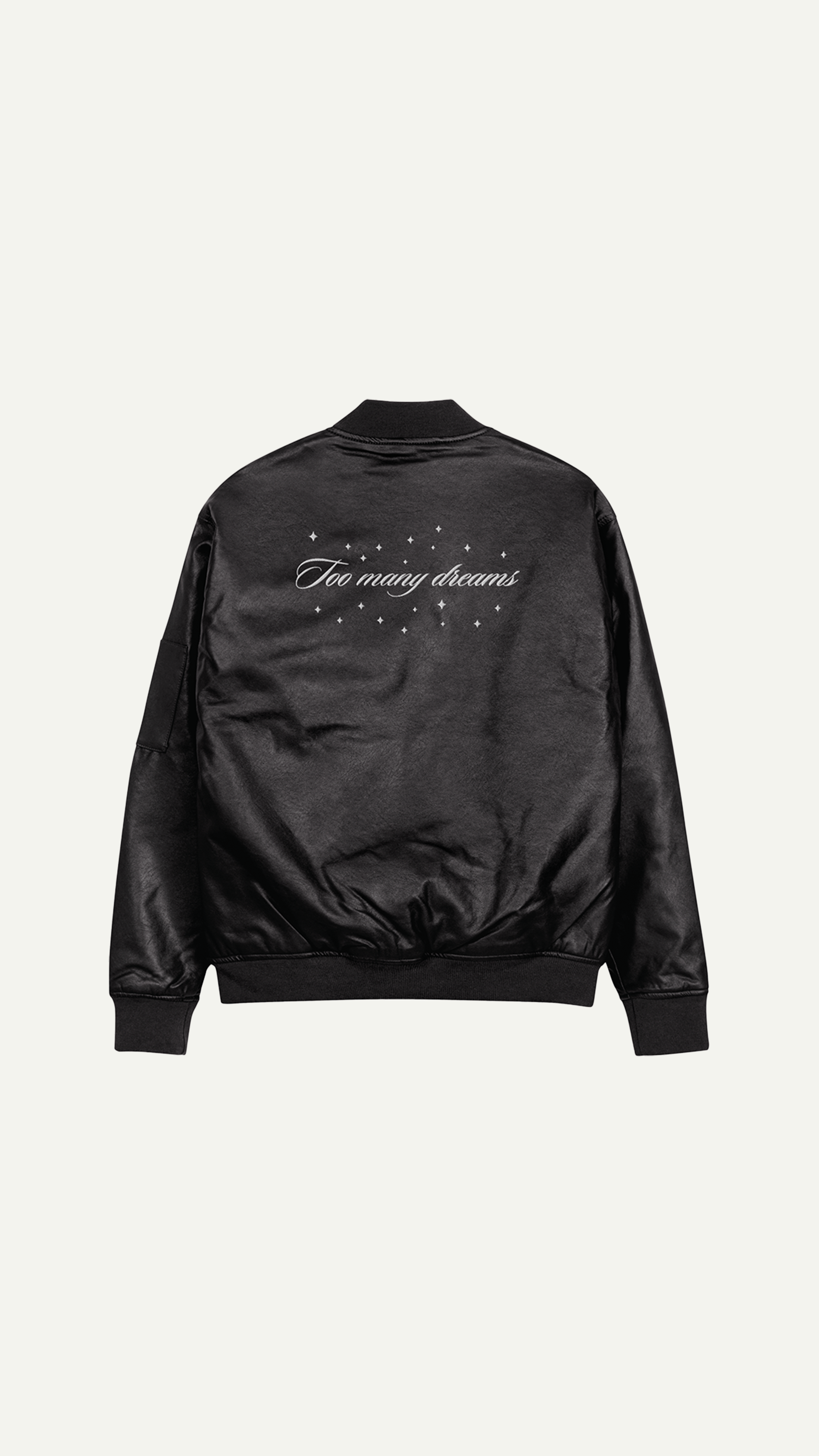 EMBROIDERED LEATHER JACKET